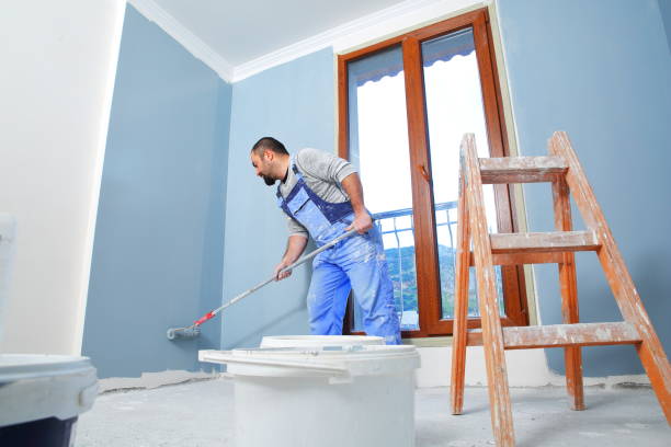 Best Post-Construction Mold Inspection  in Silver Creek, NY