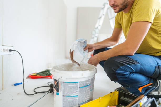 Best Mold Damage Restoration  in Silver Creek, NY