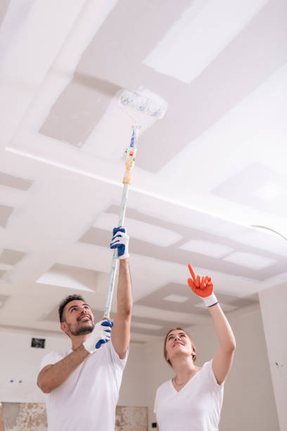 Best Emergency Mold Remediation  in Silver Creek, NY