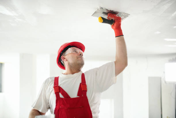 Best Biohazard Mold Removal  in Silver Creek, NY