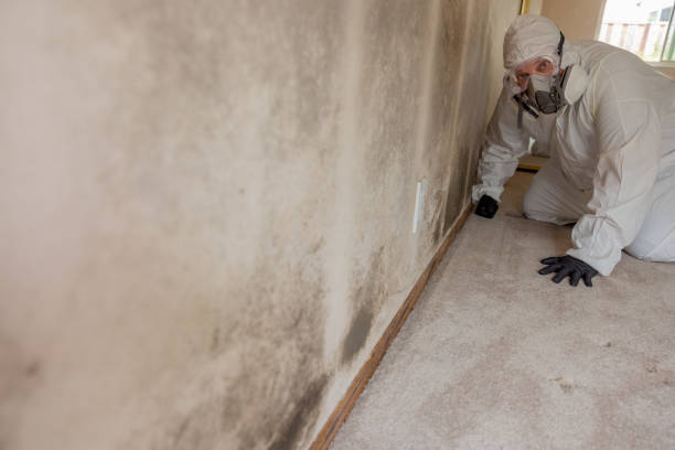 Best Indoor Air Quality Assessment  in Silver Creek, NY
