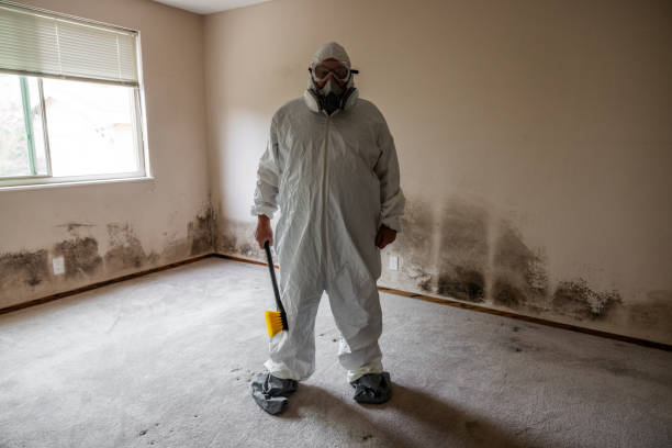 Best HVAC Mold Inspection and Cleaning  in Silver Creek, NY