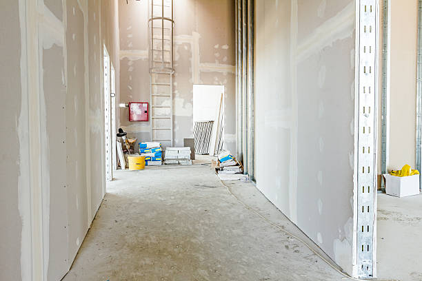 Best Mold Removal for HVAC Installations  in Silver Creek, NY
