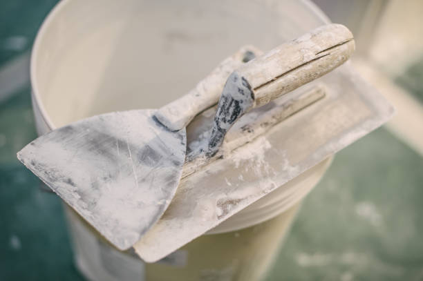 Trusted Silver Creek, NY Mold Removal Experts